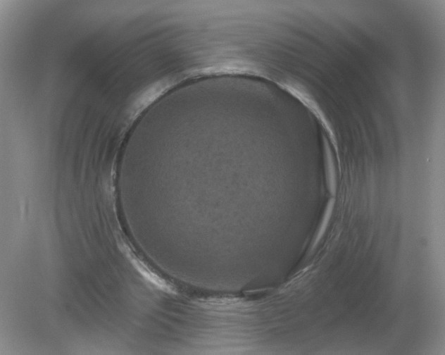 X0000079330389200611251836