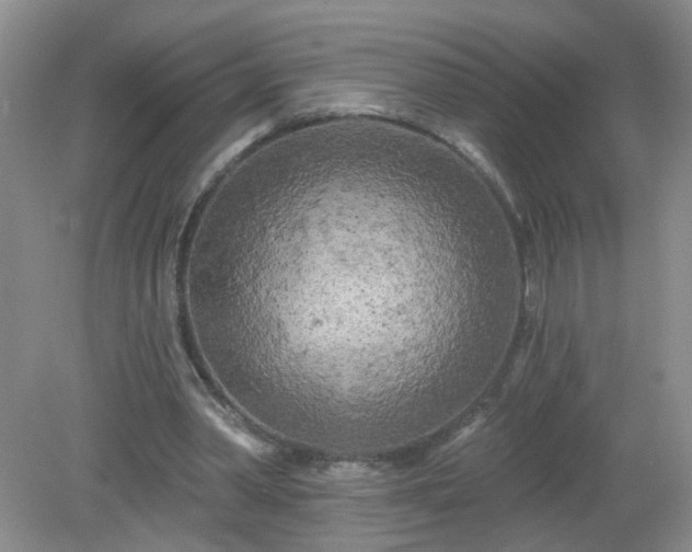 X0000079330390200611251836