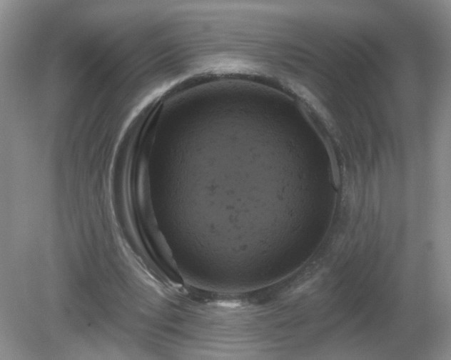 X0000079330391200611251836