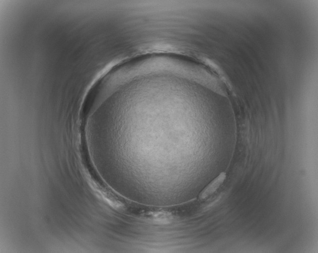 X0000079330395200611251836