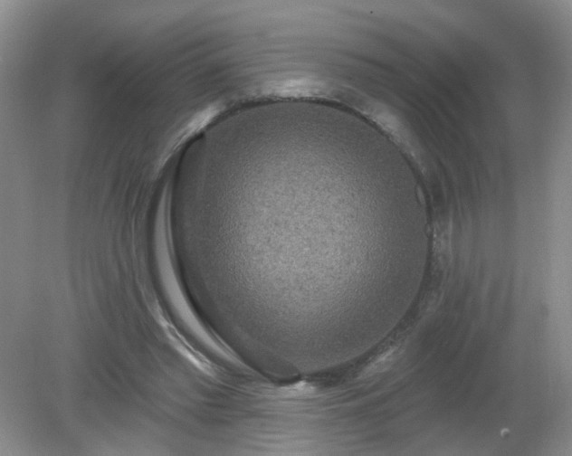 X0000079330397200611251836