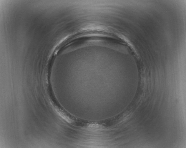 X0000079330399200611251836