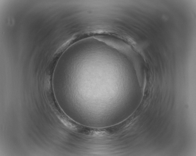 X0000079330401200611251836