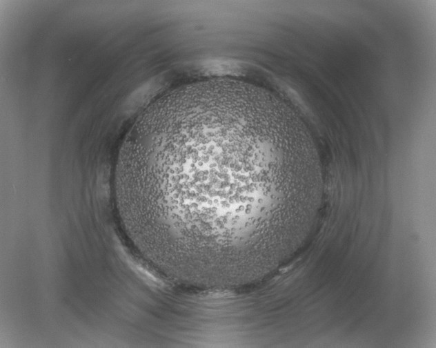 X0000079330402200611251836