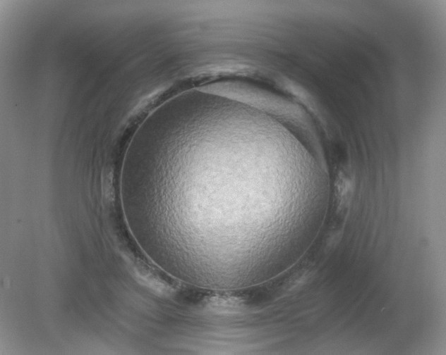 X0000079330403200611251836