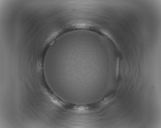 X0000079330407200611251836