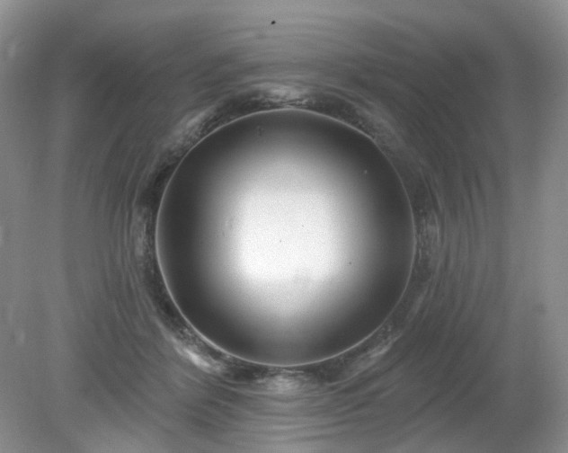 X0000079330412200611251836