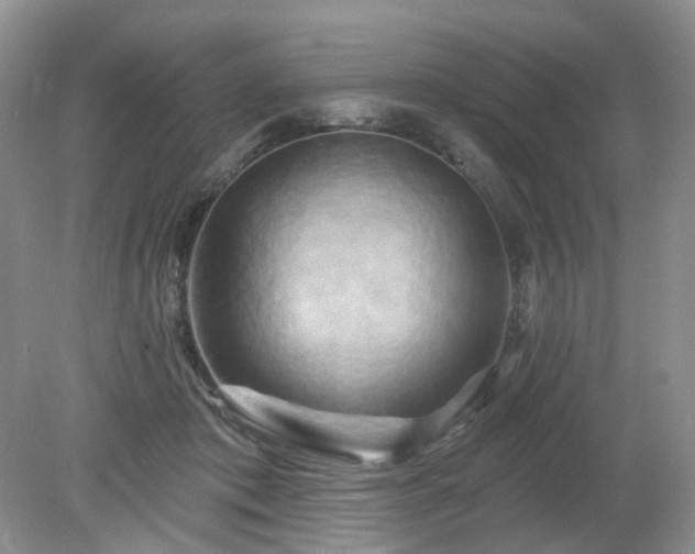 X0000079330413200611251836