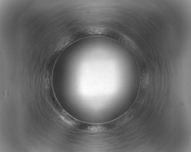 X0000079330414200611251836