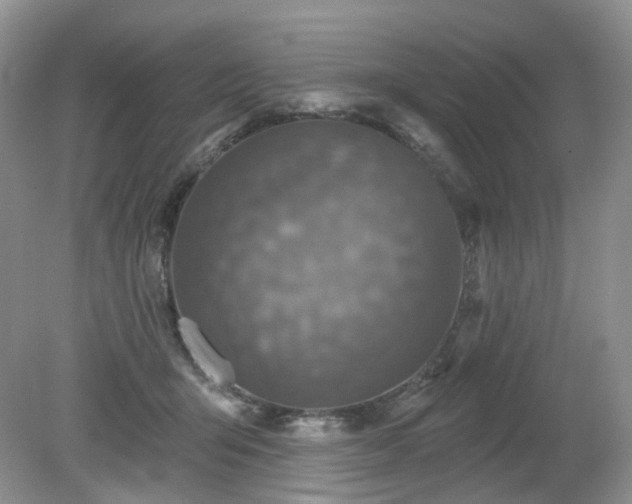 X0000079330415200611251836