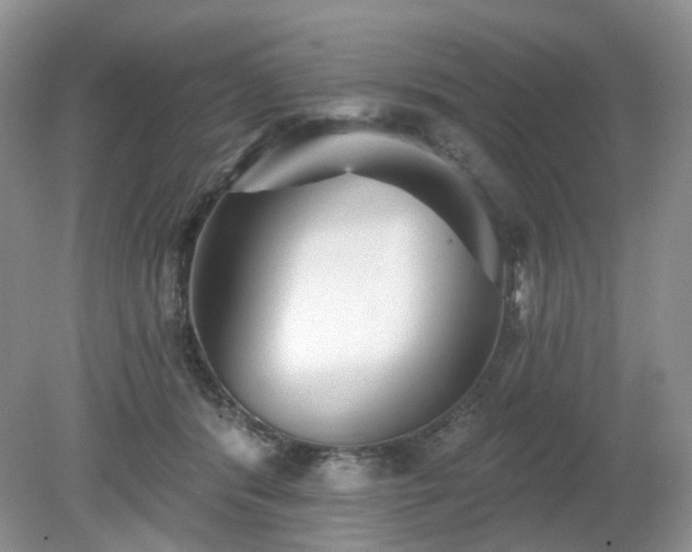 X0000079330416200611251836