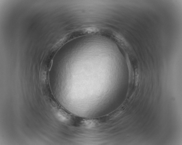 X0000079330417200611251836