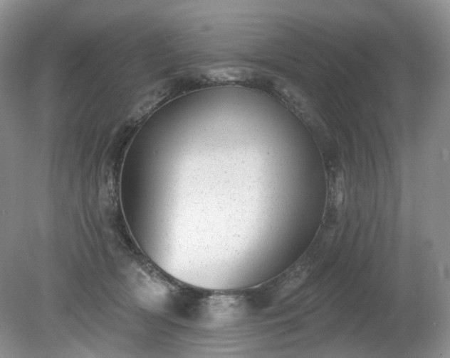 X0000079330418200611251836