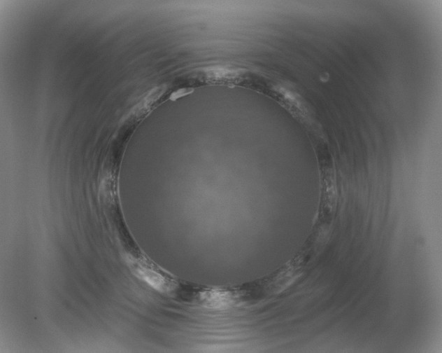 X0000079330419200611251836