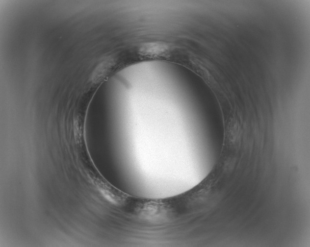 X0000079330420200611251836
