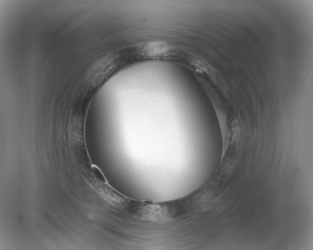 X0000079330421200611251836