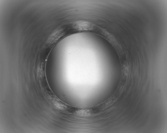 X0000079330422200611251836