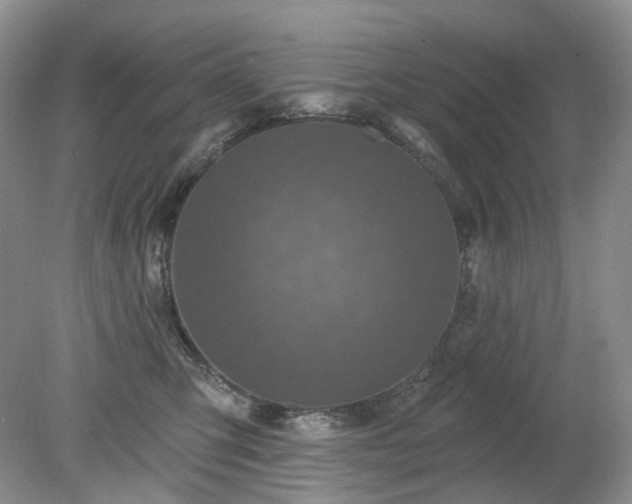 X0000079330423200611251836
