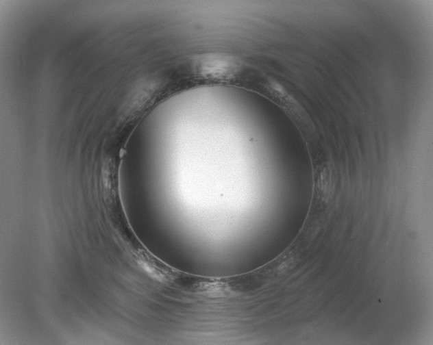 X0000079330424200611251836