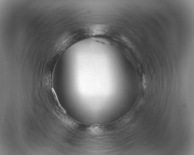 X0000079330425200611251836