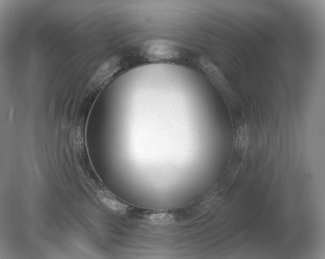 X0000079330426200611251836