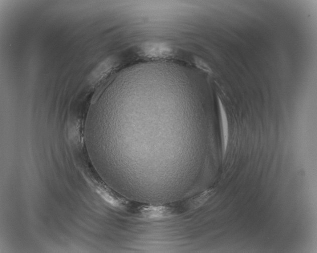 X0000079330428200611251836