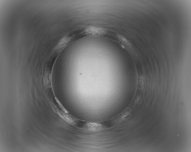 X0000079330429200611251836