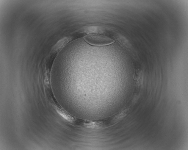 X0000079330430200611251836