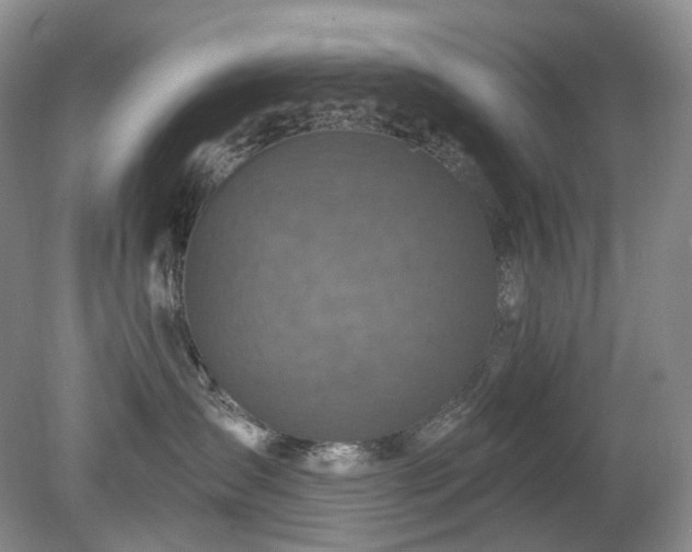 X0000079330431200611251836