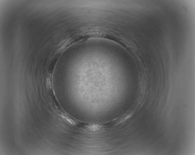 X0000079330432200611251836