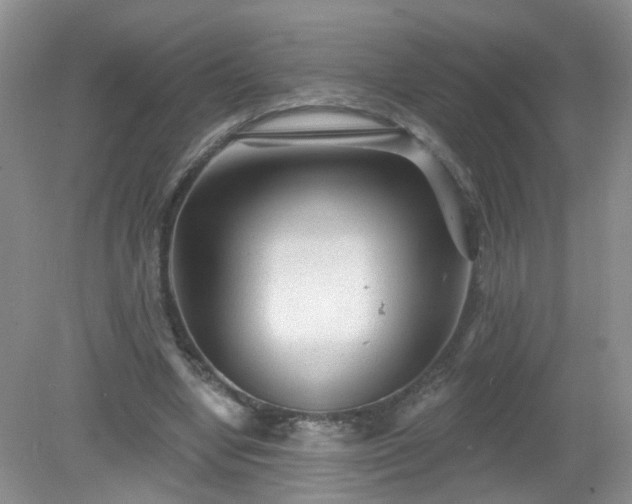 X0000079330442200611251835