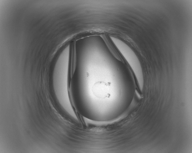 X0000079330444200611251835