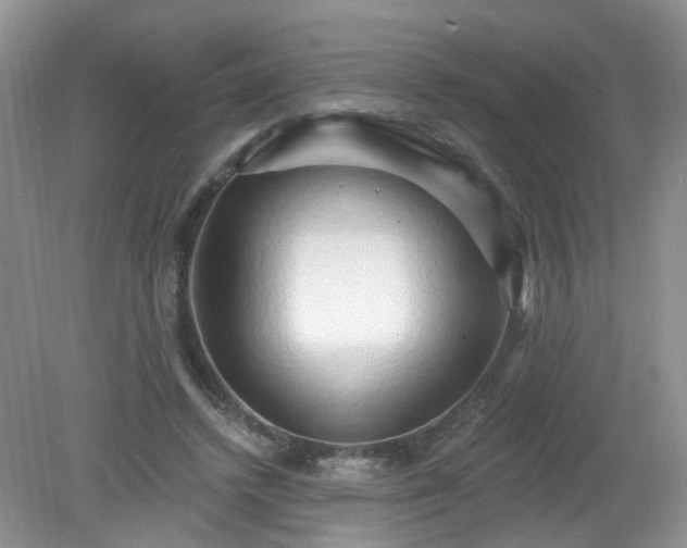 X0000079330448200611251835