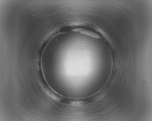 X0000079330450200611251835