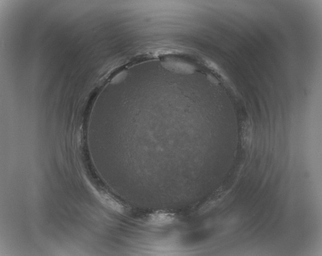 X0000079330451200611251835