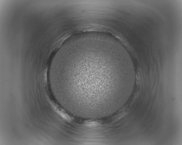 X0000079330454200611251835