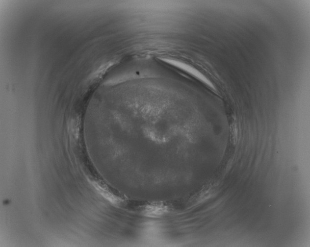 X0000079330458200611251835