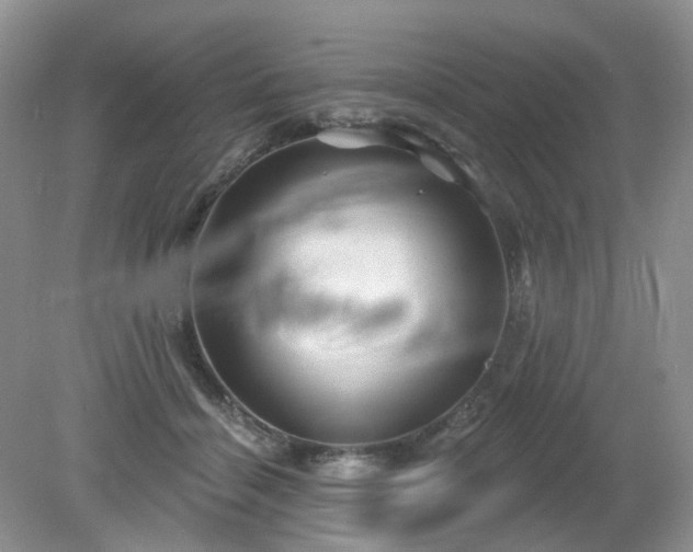 X0000079330460200611251835