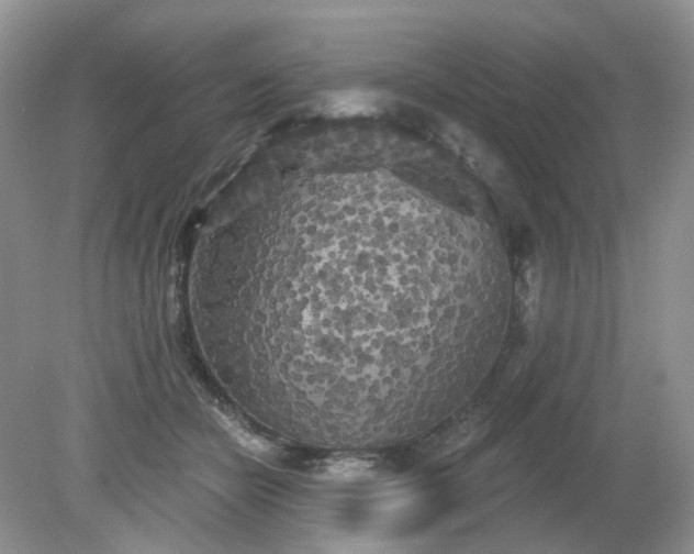 X0000079330462200611251835