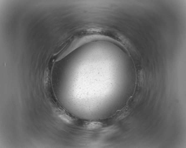 X0000079330463200611251835