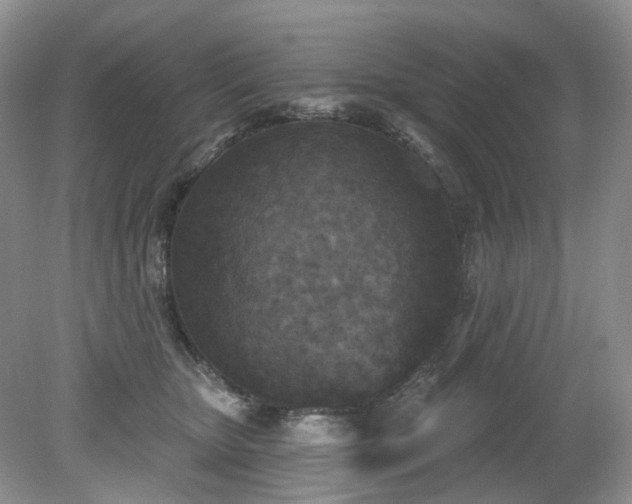 X0000079330467200611251835