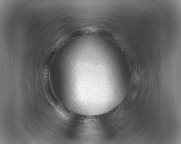 X0000079330468200611251835