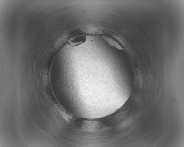 X0000079330469200611251835