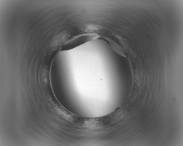 X0000079330470200611251835