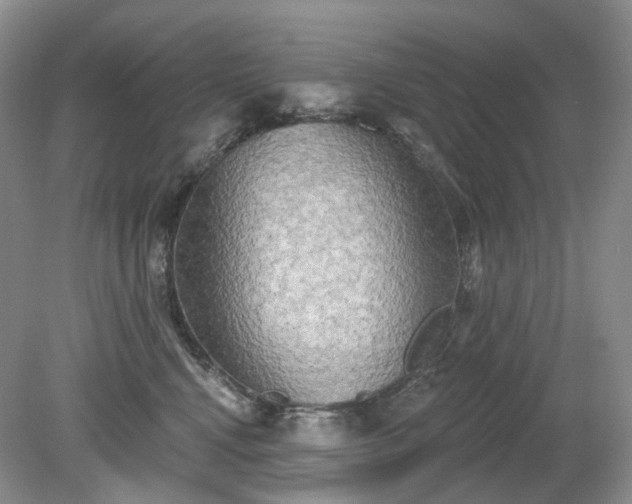 X0000079330472200611251835
