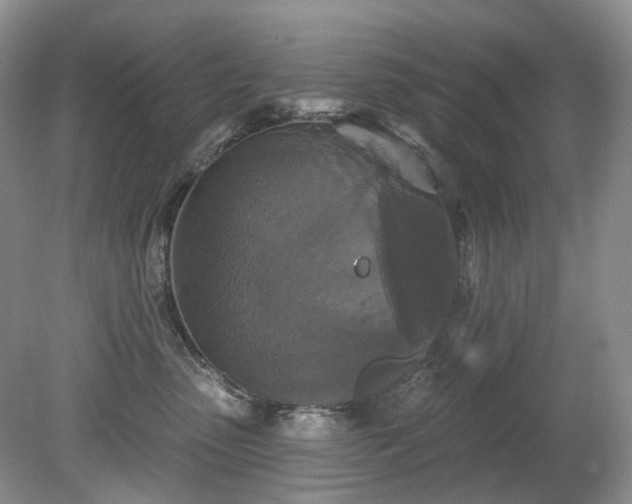 X0000079330475200611251836