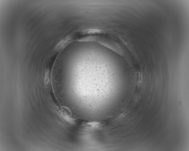 X0000079330478200611251836
