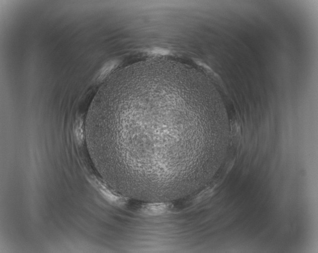 X0000079330479200611251836