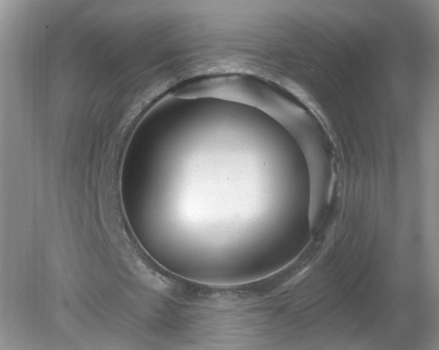 X0000079330481200611251835