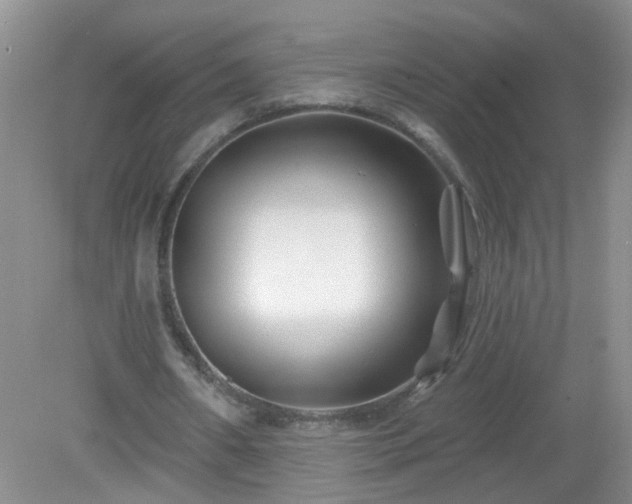 X0000079330482200611251835